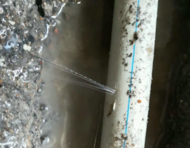 梧州市测漏水哪家好