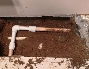 梧州市测漏水哪家好