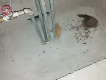 梧州市卫生间测漏水价格明细