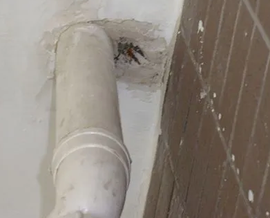 梧州市漏水检测哪家好